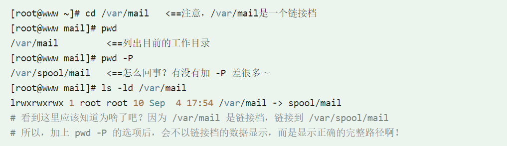 image-20240223185811352
