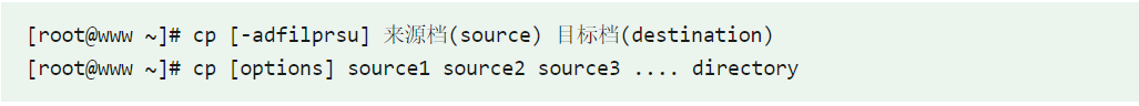 image-20240223190839932