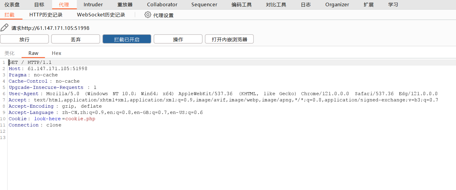 image-20240225232530698