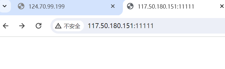 image-20240316202501524