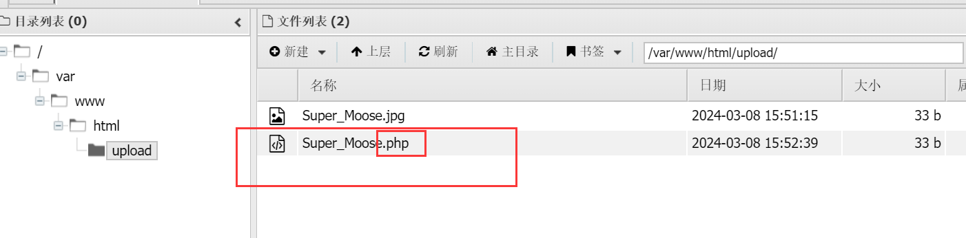 image-20240308235453775