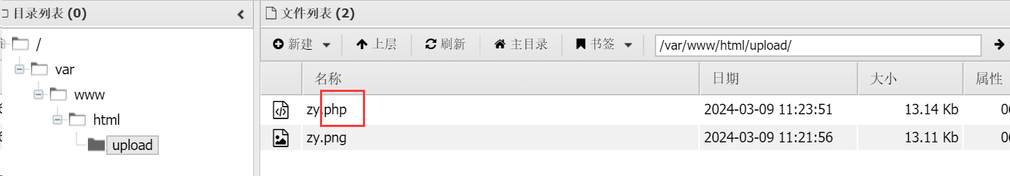 image-20240309192655508