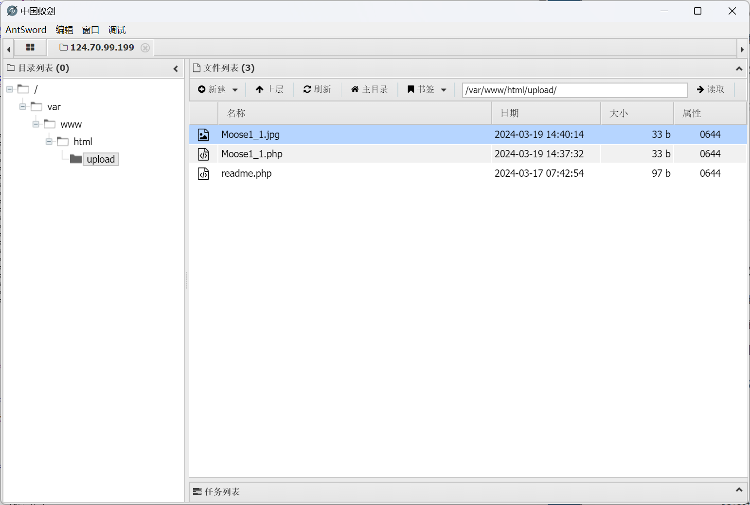 image-20240319224559028