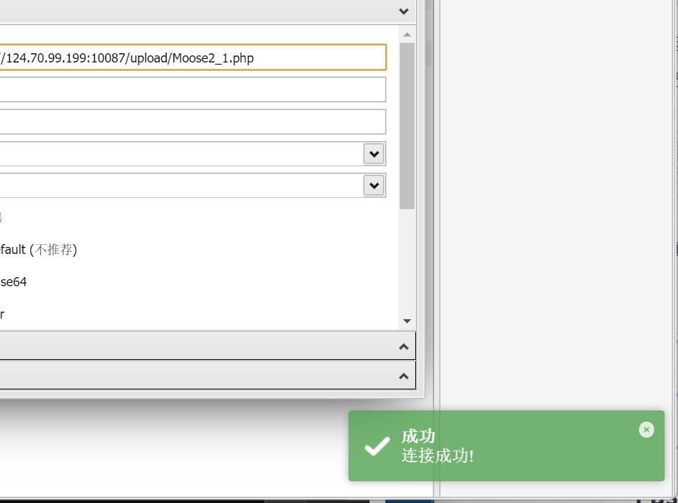 image-20240319225634724