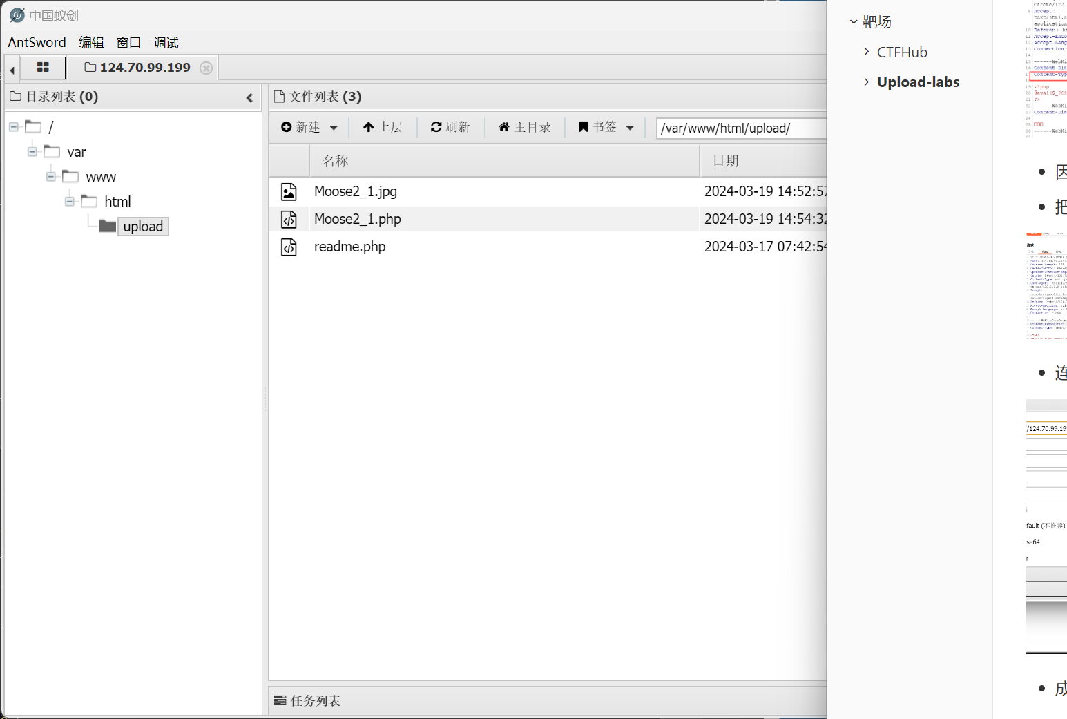 image-20240319225710725