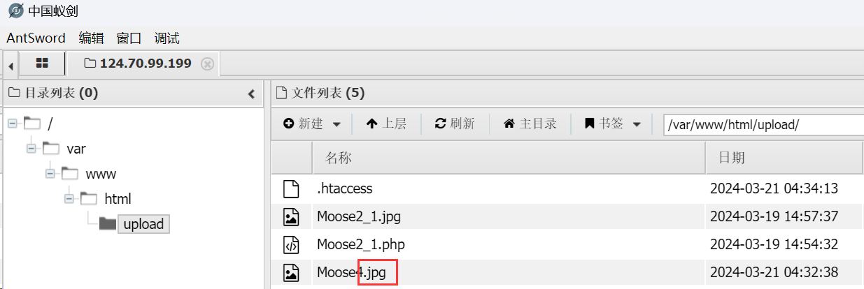 image-20240321123851230