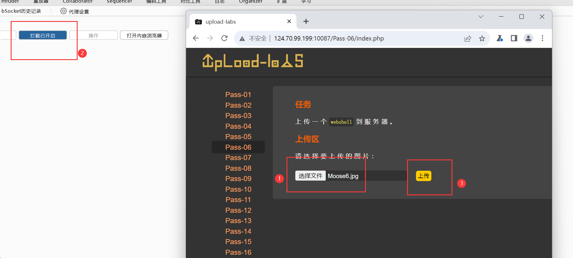 image-20240324194819214