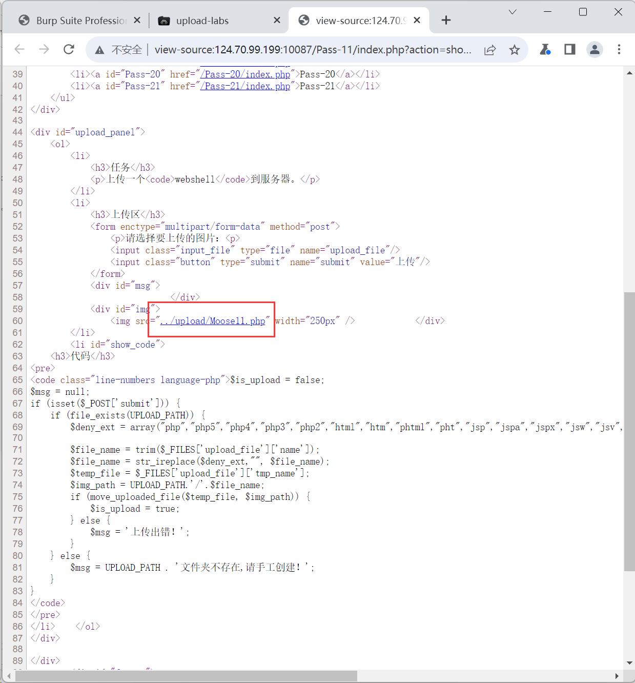 image-20240324201327847