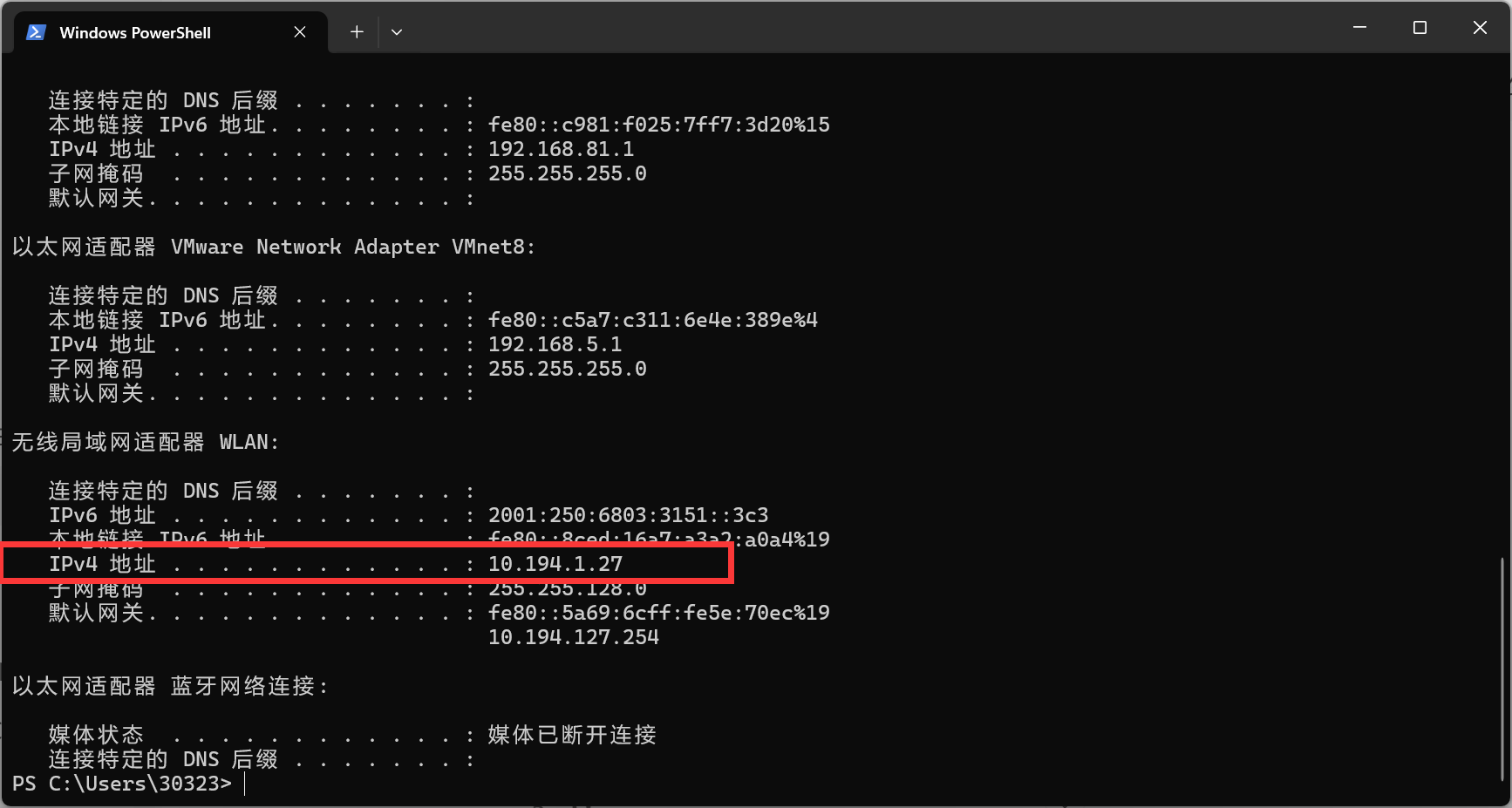 image-20240806161522520